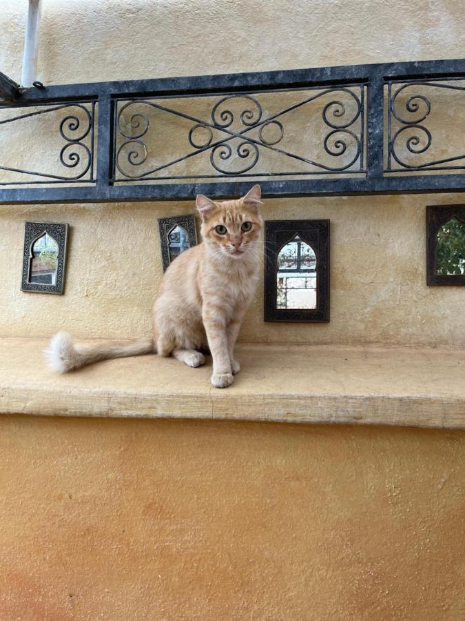 Riad Al Ibtikar Marrakesz Zewnętrze zdjęcie