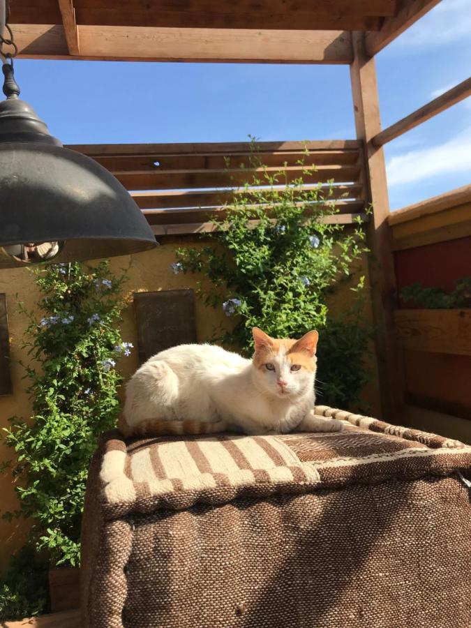 Riad Al Ibtikar Marrakesz Zewnętrze zdjęcie